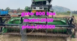 GAHIR 800 BOX