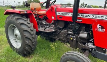 
									MASSEY FERGUSON 7250 full								