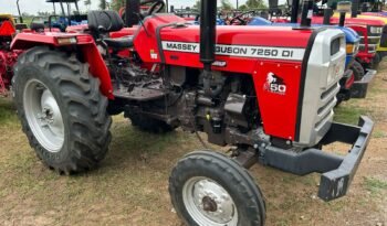
									MASSEY FERGUSON 7250 full								